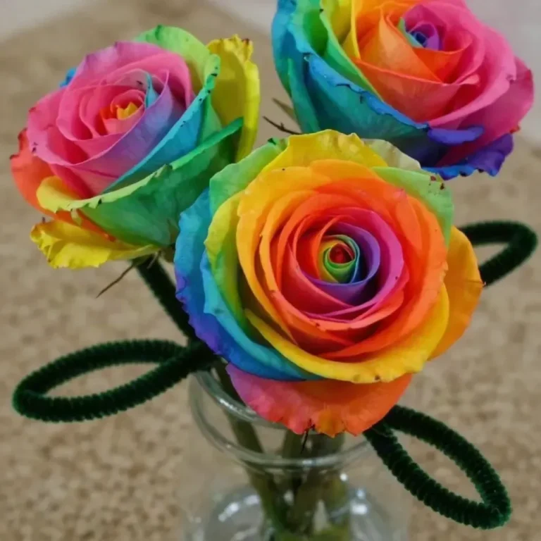 DIY rainbow roses made from coffee filters tutorial
